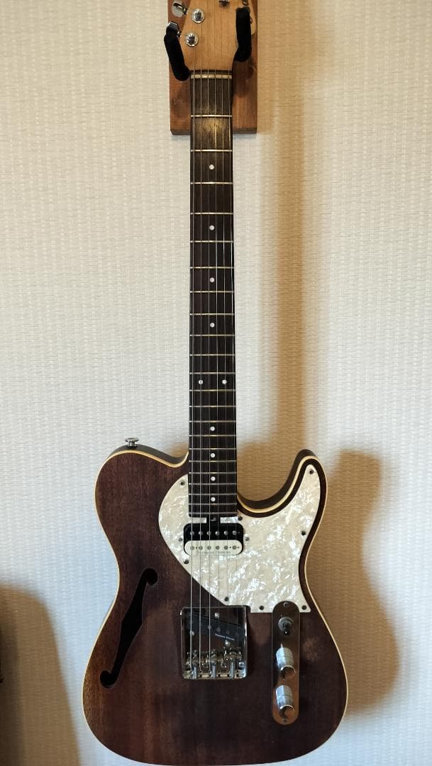 【Bacchus】T-HOLLOW テレキャスター HandmadeSeries