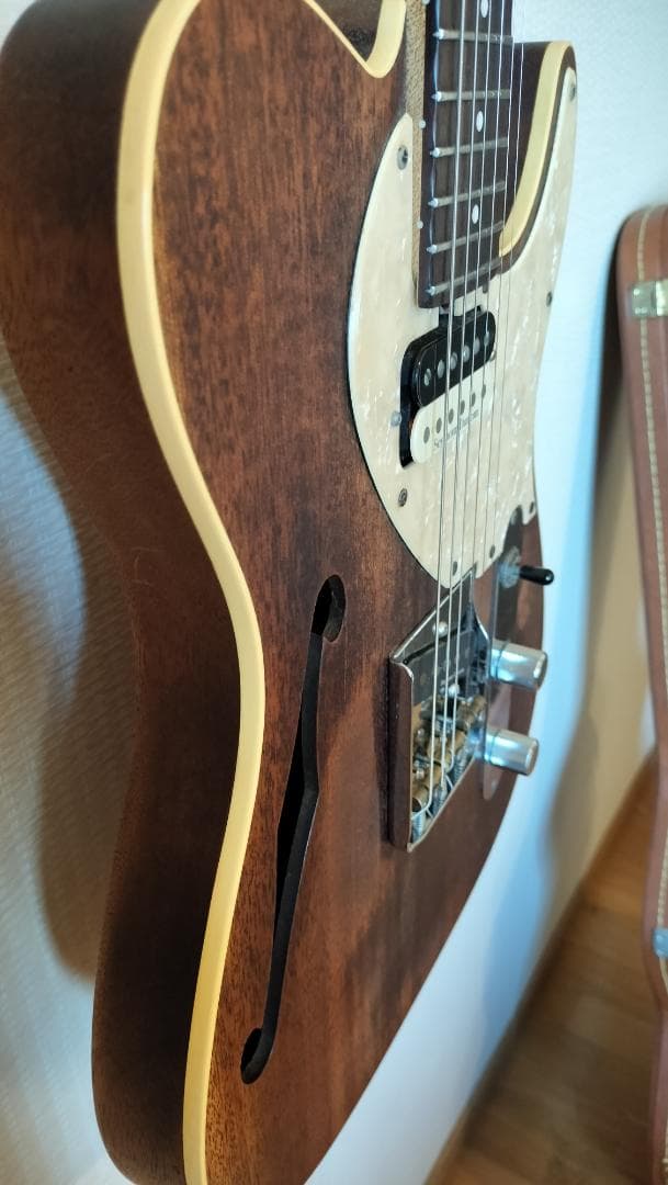 【Bacchus】T-HOLLOW テレキャスター HandmadeSeries