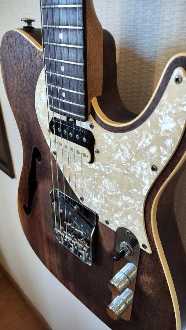 【Bacchus】T-HOLLOW テレキャスター HandmadeSeries