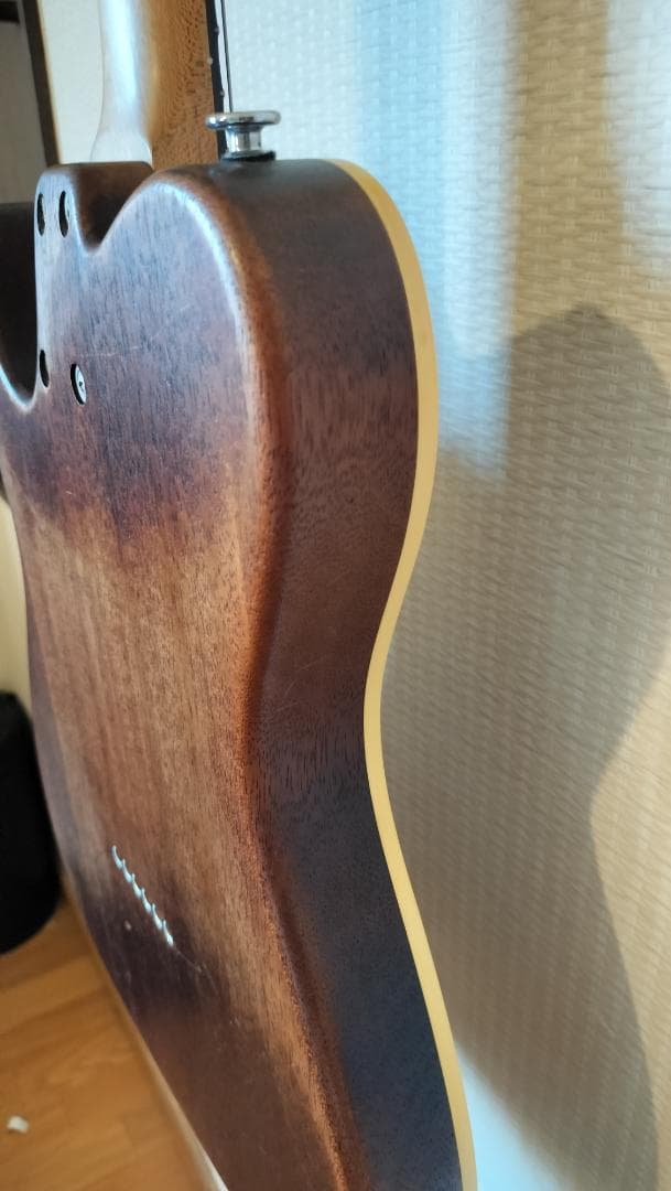 【Bacchus】T-HOLLOW テレキャスター HandmadeSeries