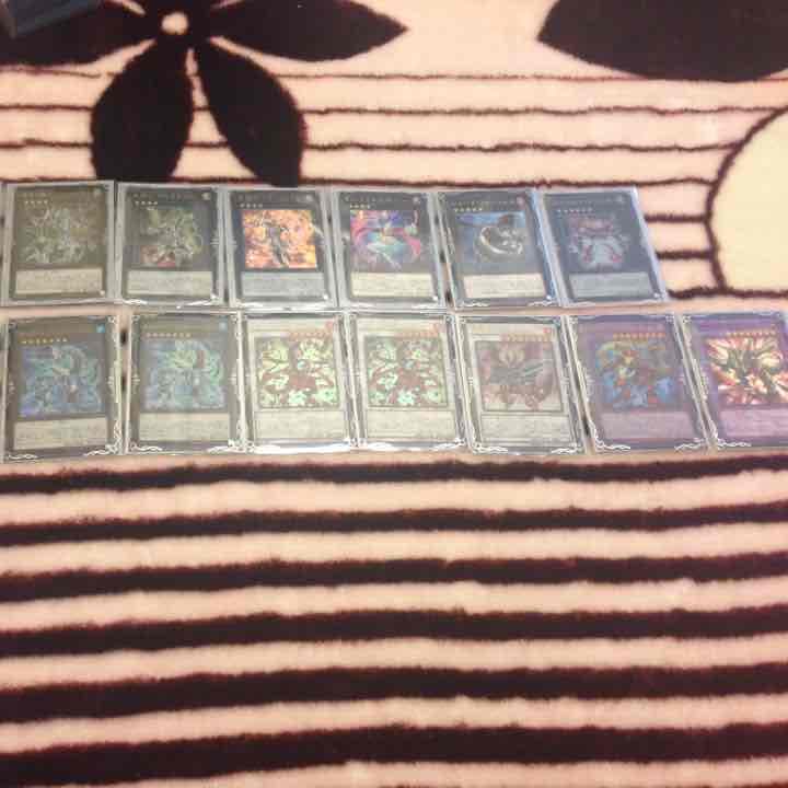 エクストラ 確認用