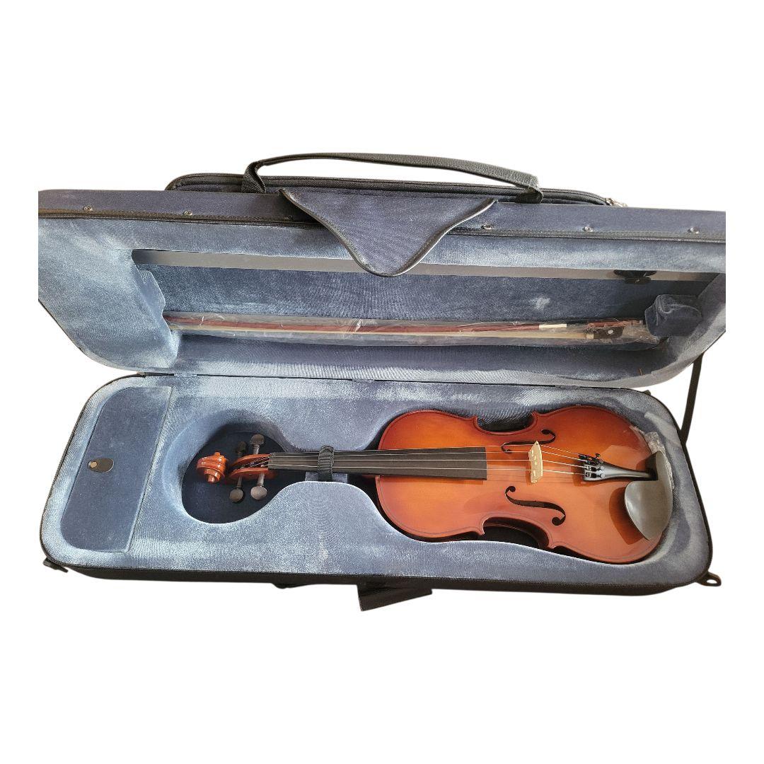 カルロジョルダーノ　ビオラ　ケース付き