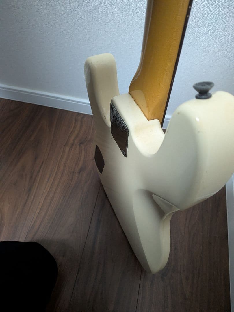 Fernandes Limited Edition　ソフトケース新品弦付きます