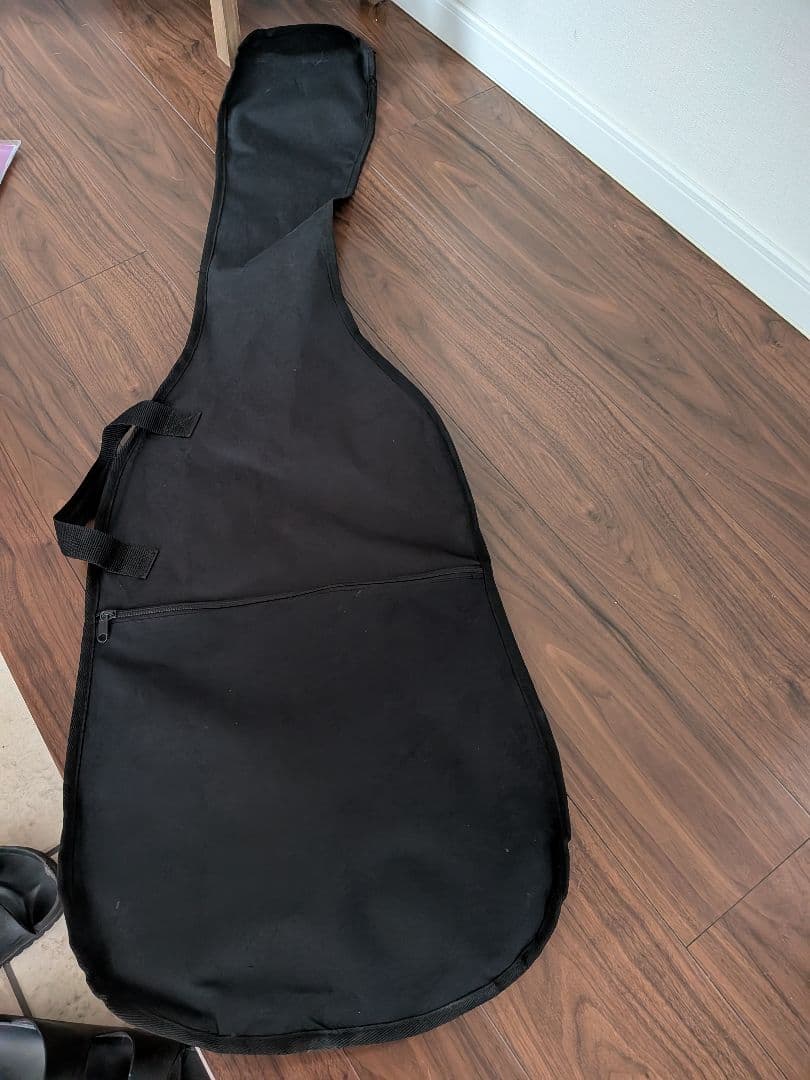 Fernandes Limited Edition　ソフトケース新品弦付きます