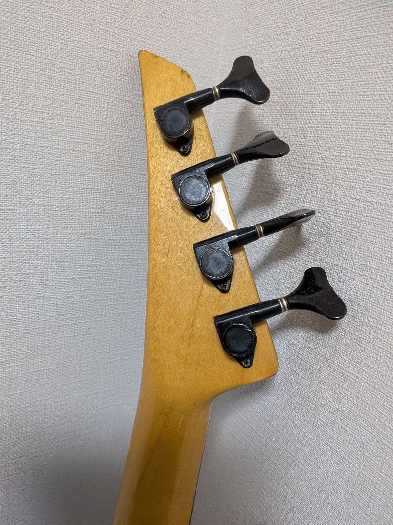 Fernandes Limited Edition　ソフトケース新品弦付きます