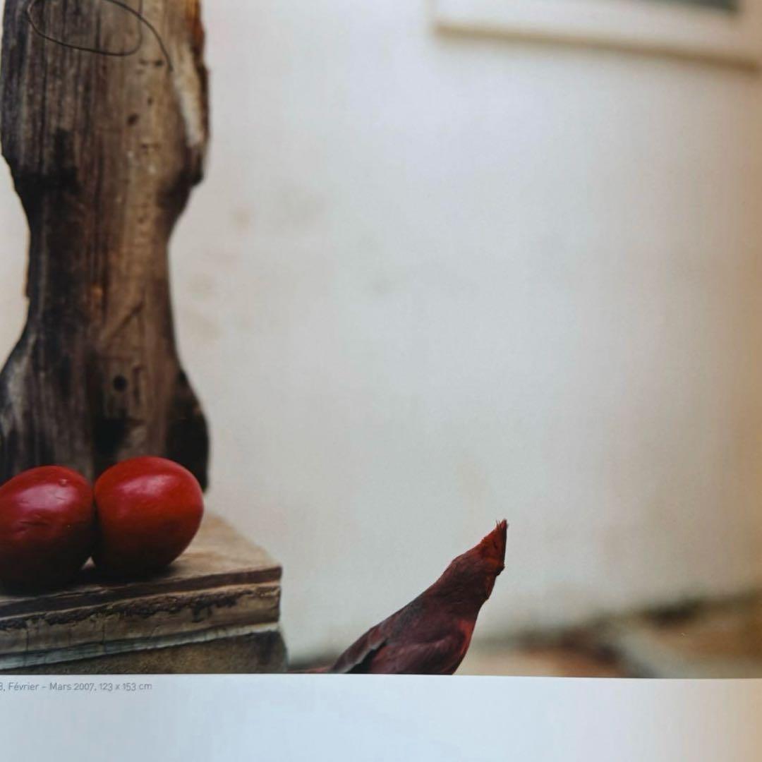 希少 Jean Luc Mylayne ジャン＝リュック・ミレーヌ 野鳥 写真集