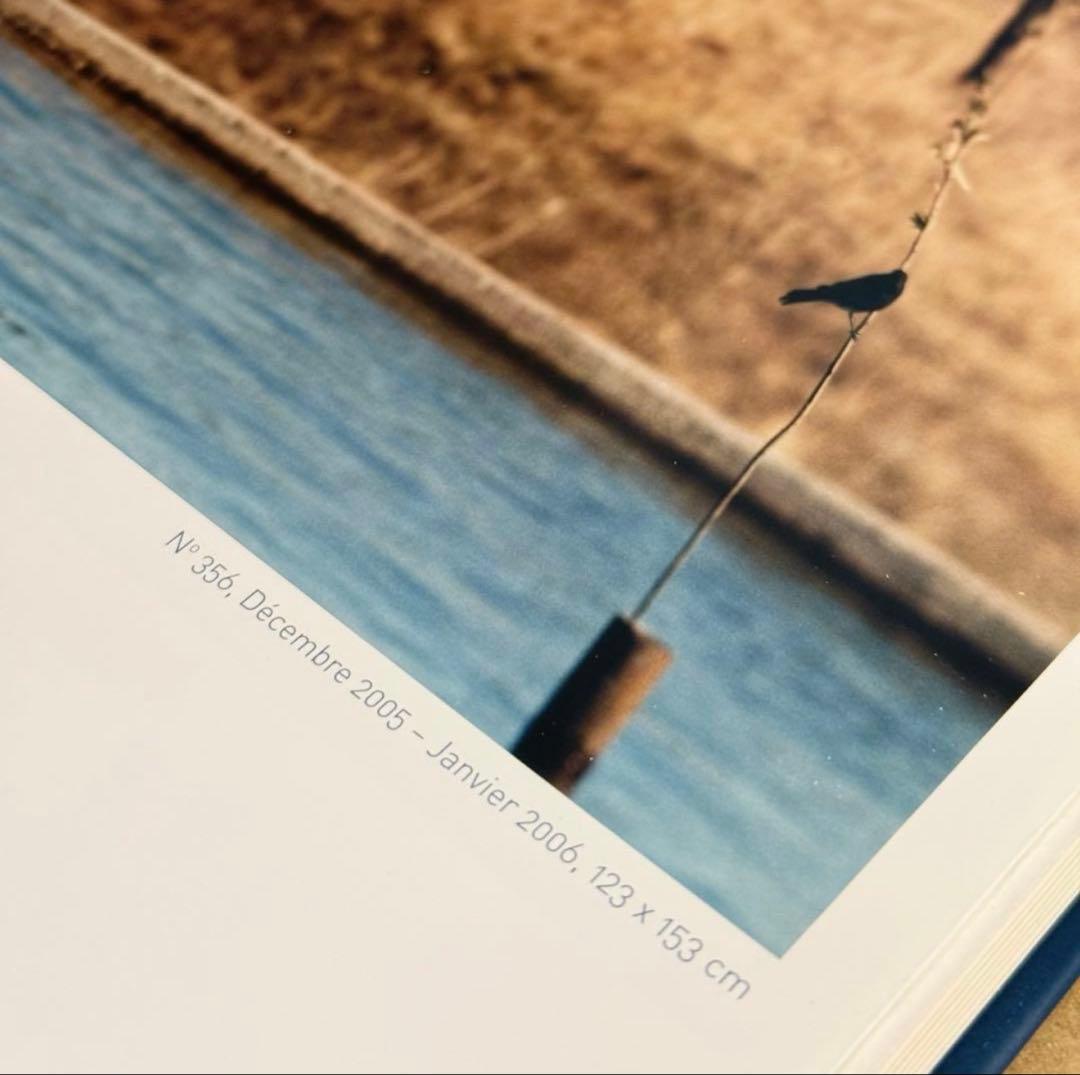 希少 Jean Luc Mylayne ジャン＝リュック・ミレーヌ 野鳥 写真集