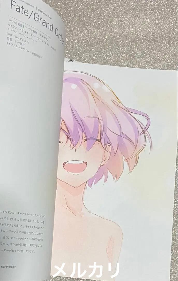 細居美恵子アートワークス アニメ 初版 初回 限定 原画 原画集