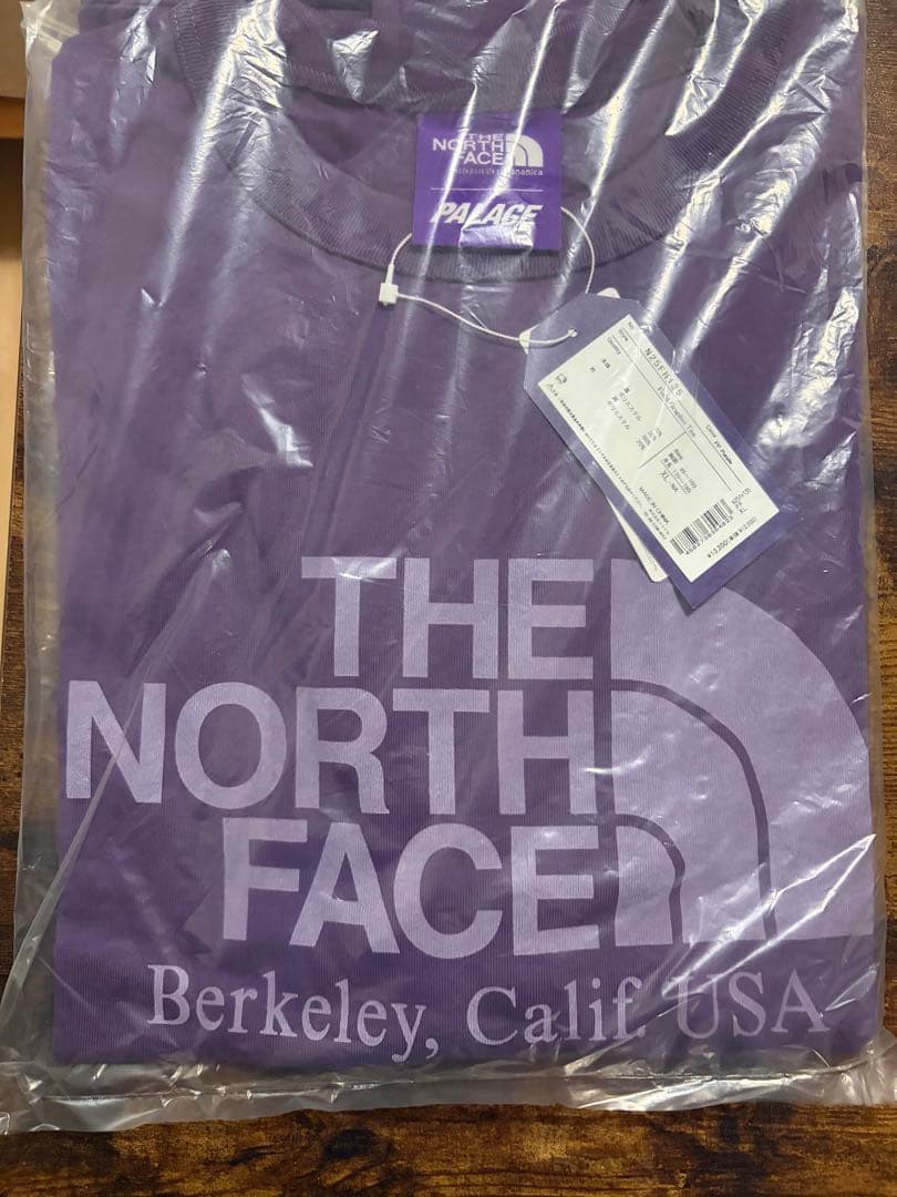 トップス PALACE THE NORTH FACE T-SHIRT