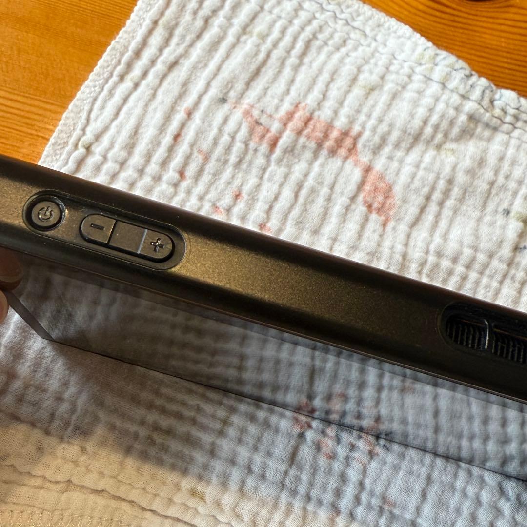 Switch本体液晶+純正ACアダプタ