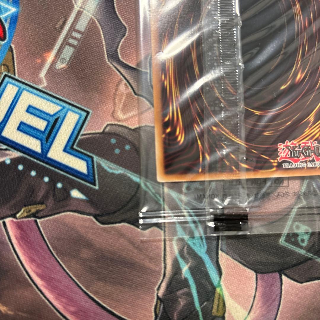 日本選手権2025 2期 優勝プロモ