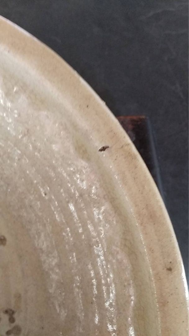 瀬戸石皿　瀬戸焼 アンティーク 古道具 茶道具 黄瀬戸 古民芸 煎茶器