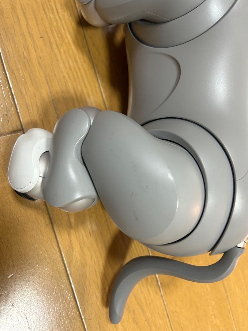SONY aibo ERS-1000 2021年限定カラー 黒ごま　エディション
