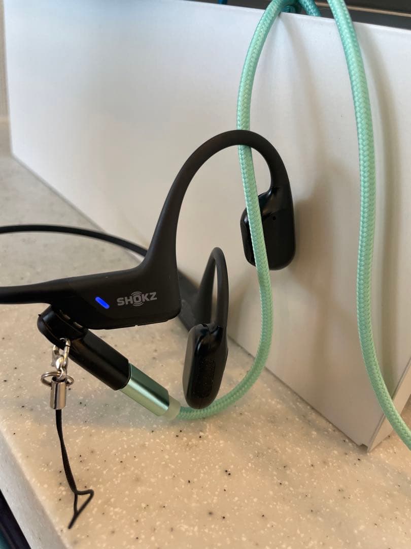 イヤホン SHOKZ OpenRun Pro S810