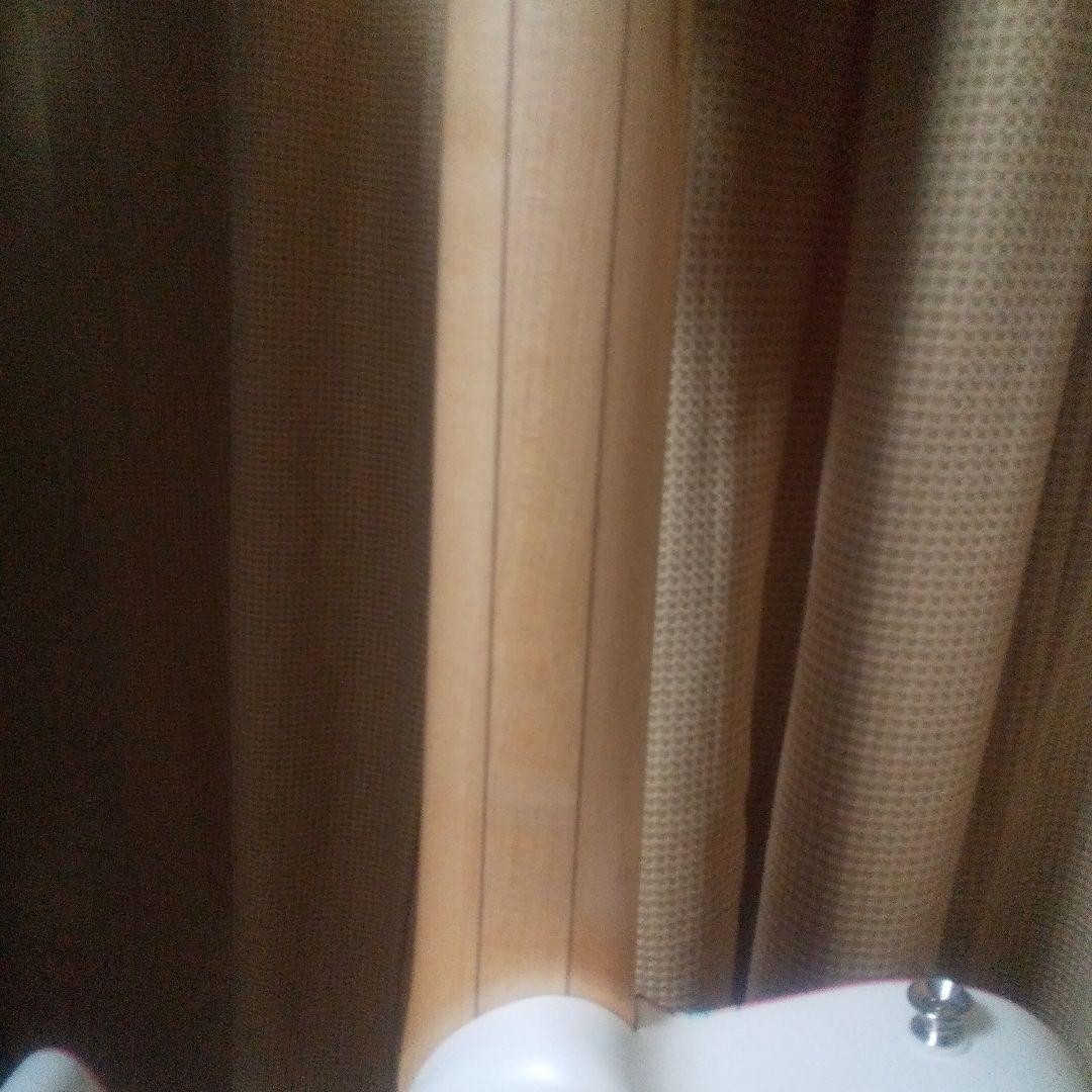 『寺田てら』コラボギター