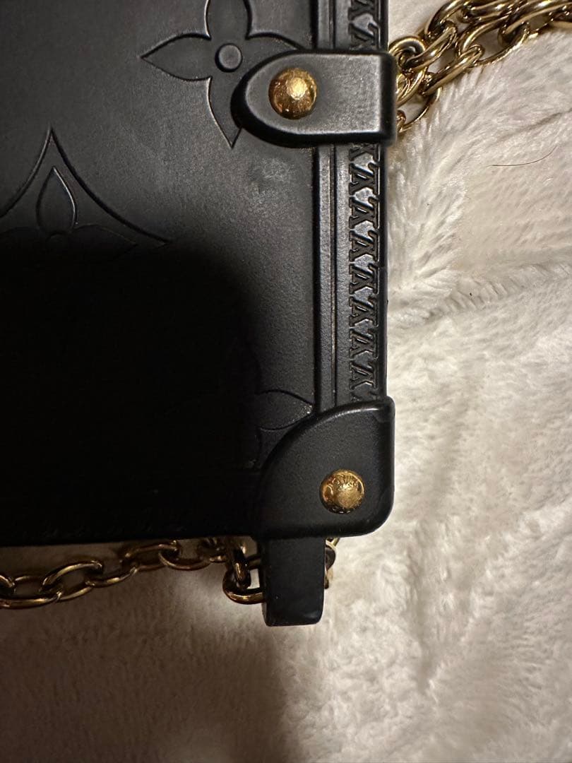 Louis Vuitton iPhone14 proケース