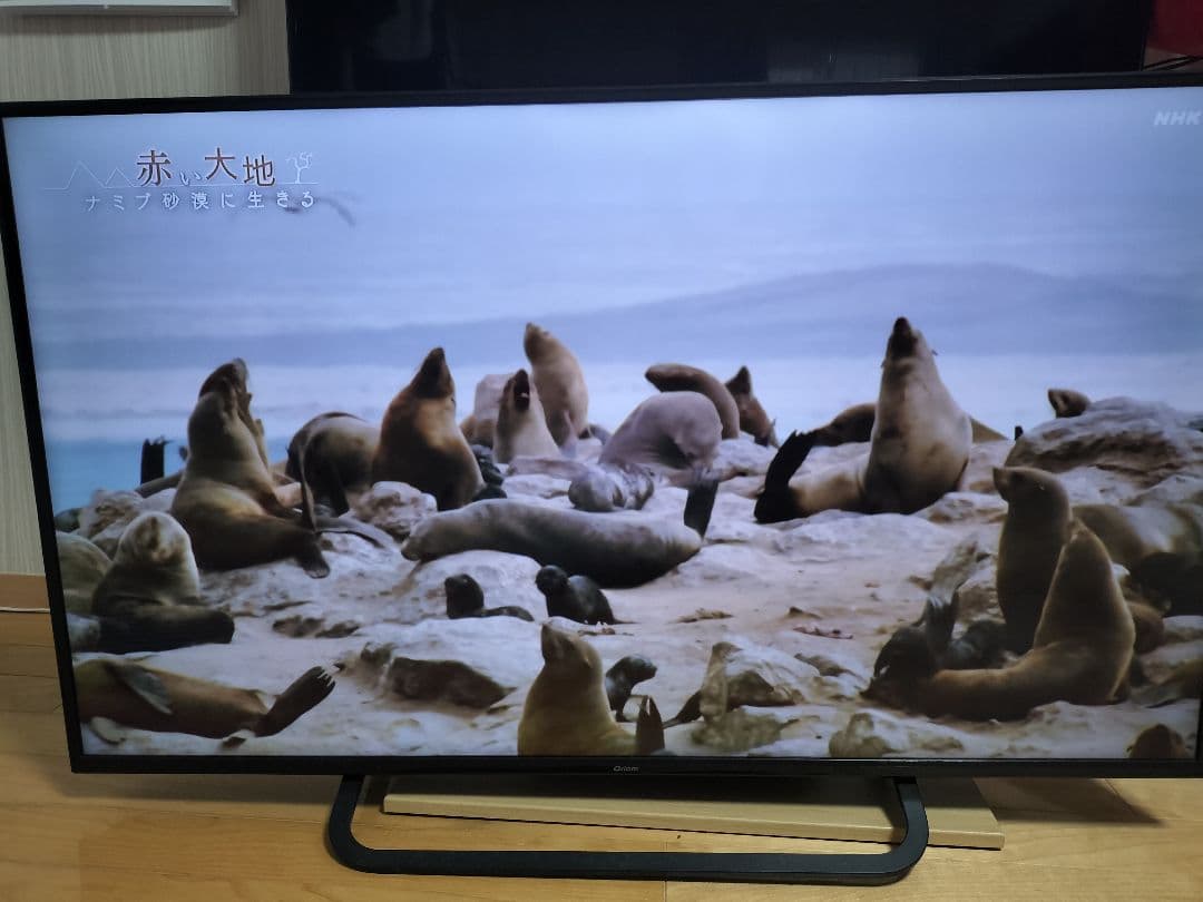 Qriom 49型 4K液晶テレビ QRS-49U4K