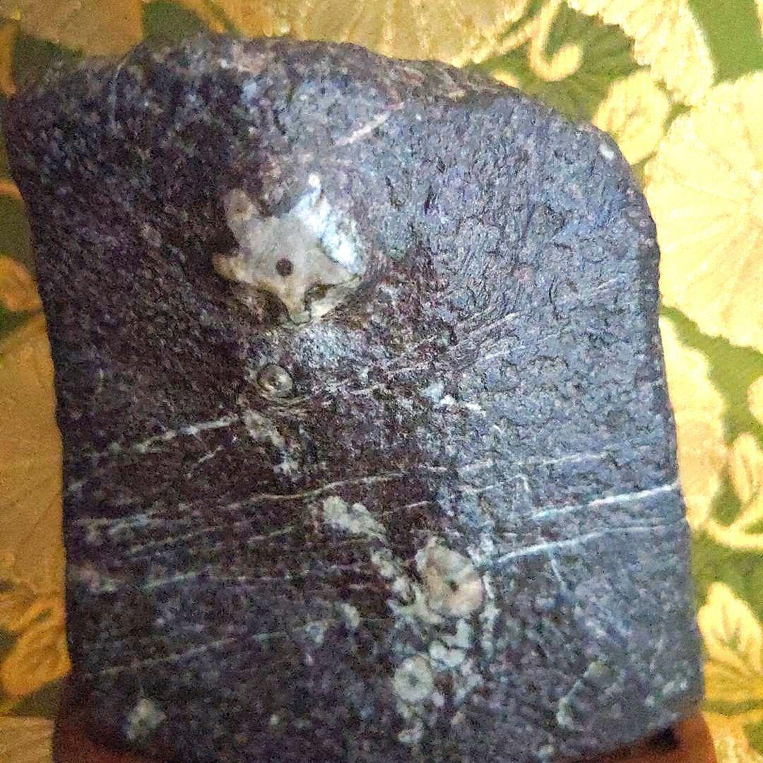 【最終価格】門司　梅花石　台座付　水石　盆石