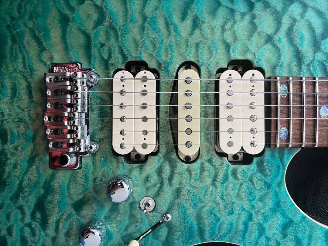 freedomcustomguitarresearchハイドラ