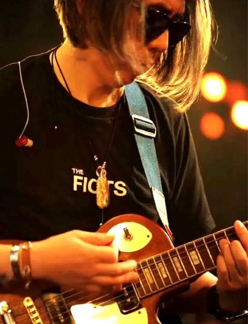 イヤホン TTPOD AUDIO \"T2\" HYBRID EAR HEADPHONES