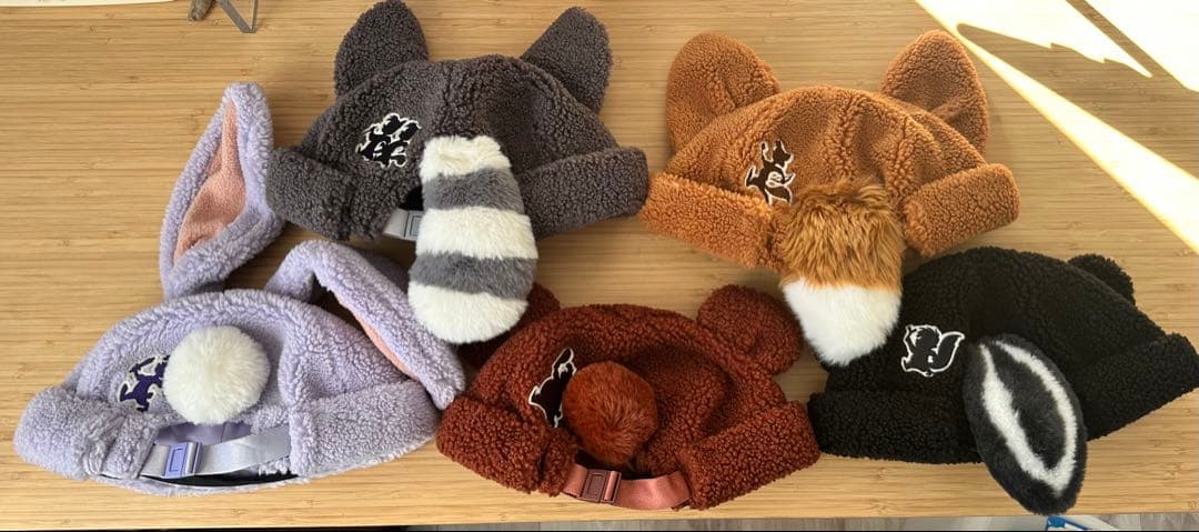 ファンタジースプリングス　ファンキャップ ロストキッズ　５点セット