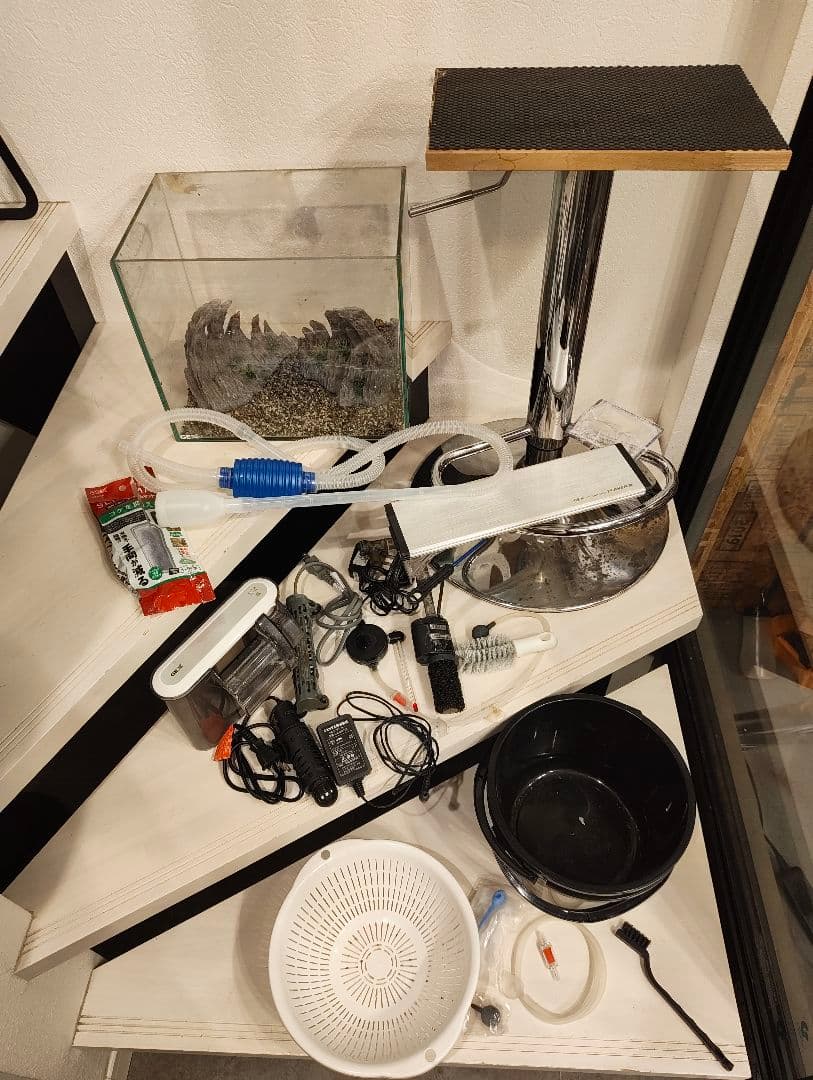 水槽セット　ネオンテトラやグッピーなど