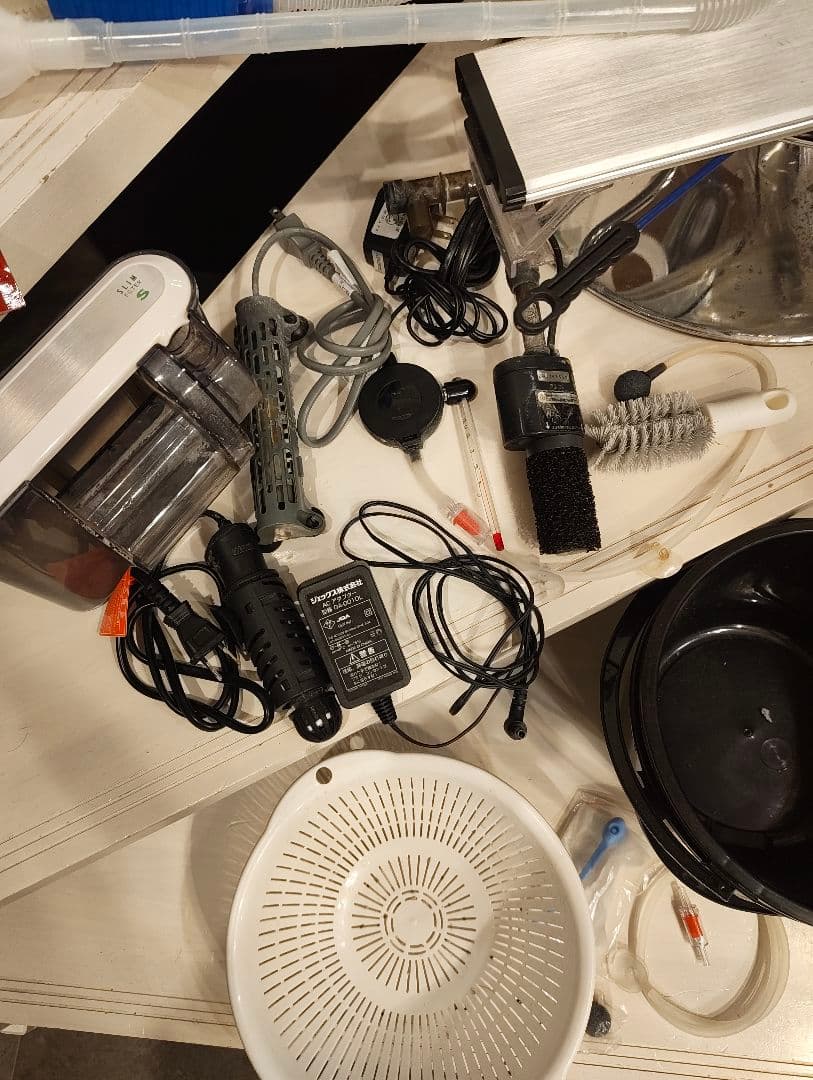 水槽セット　ネオンテトラやグッピーなど