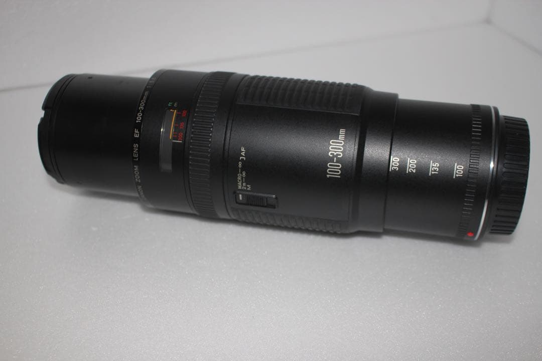 超望遠レンズ☆迫力300㎜☆キャノン Canon EF100-300㎜