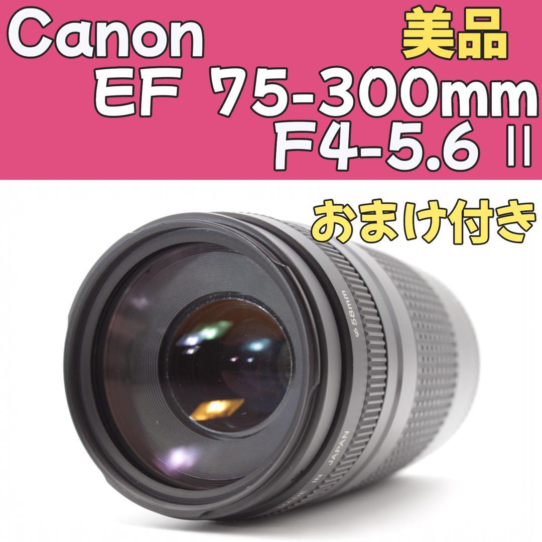 美品❣️Canon EF 75-300mm Ⅱ ✨超望遠レンズ　運動会　風景