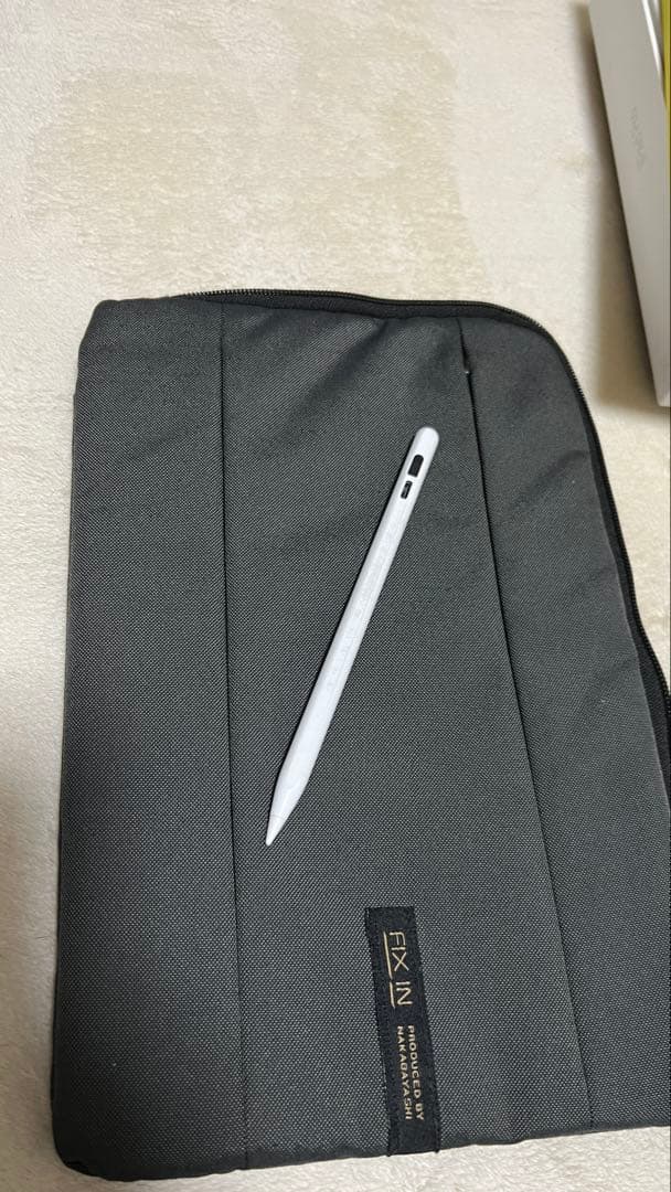 Apple iPad Pro M4 11インチ 512GB 非純正ペン付