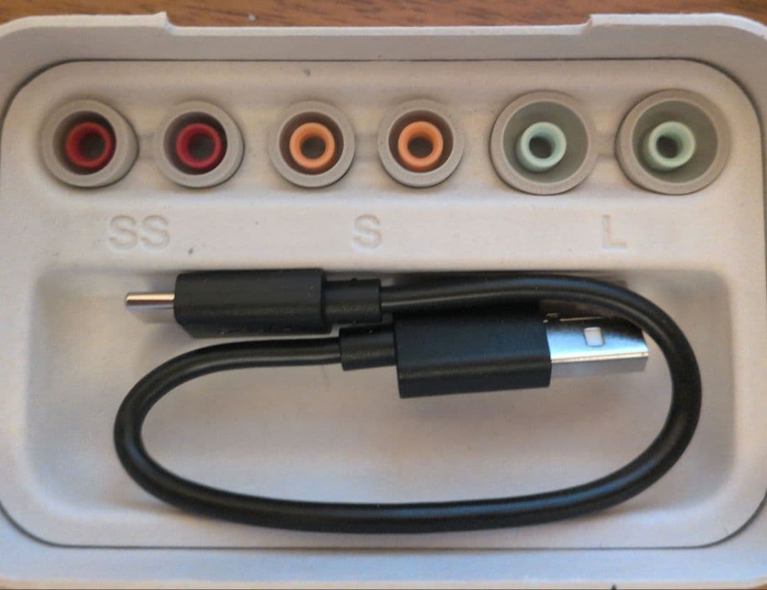 【ジャンク】WF-1000XM5　左耳音出ず