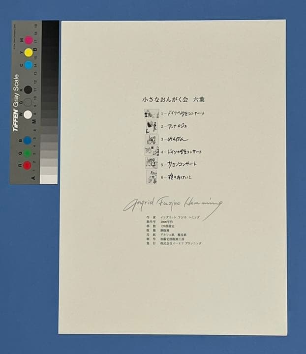 魂のピアニスト Fujiko Hemming 版画フジ子・ヘミング 絵画 完品