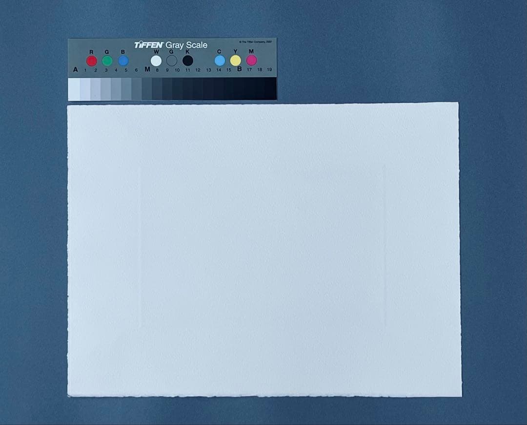 魂のピアニスト Fujiko Hemming 版画フジ子・ヘミング 絵画 完品