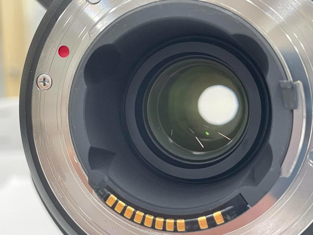 SIGMA 150-600mm F5-6.3 SA→Eマウント