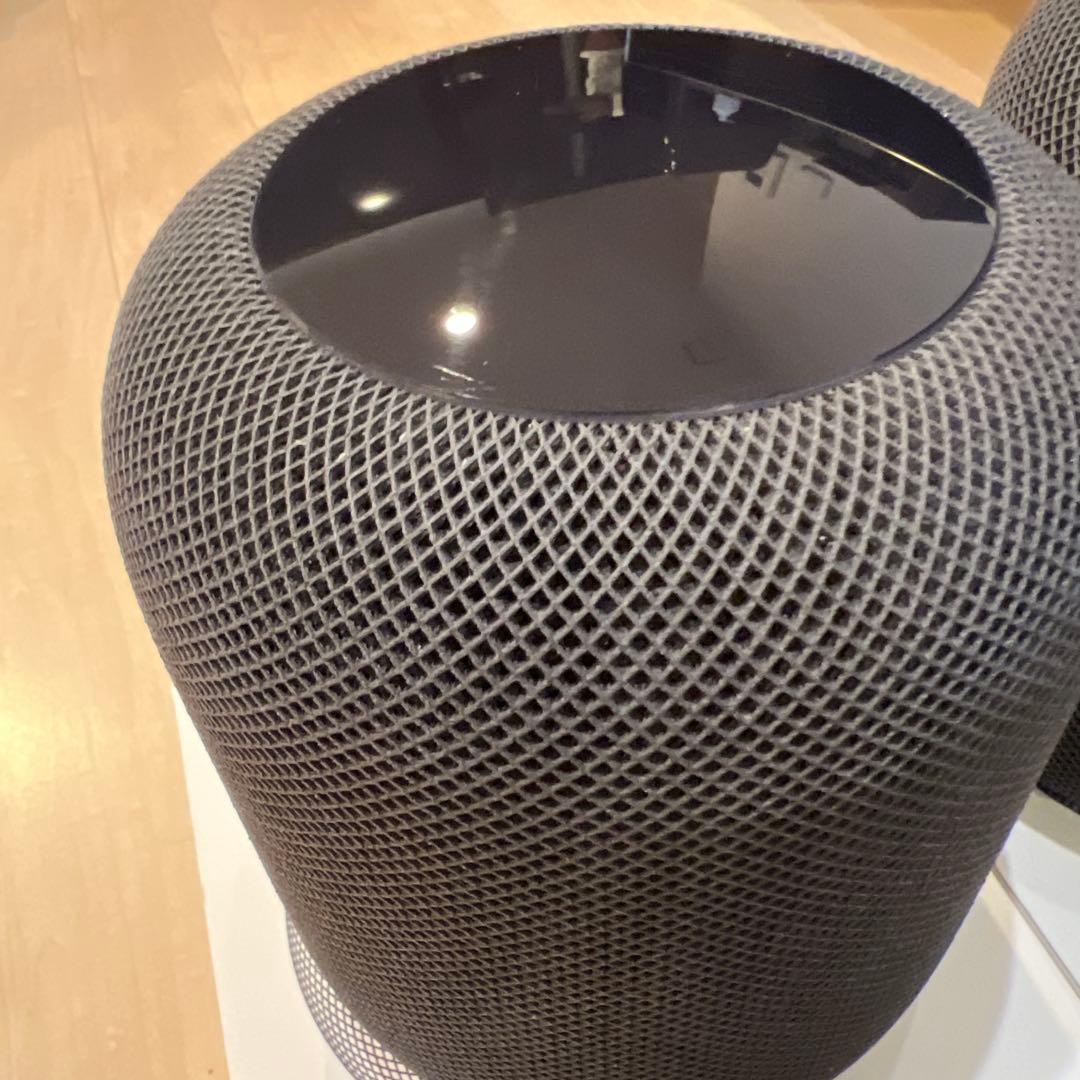 Apple Pod ブラック 2個セット