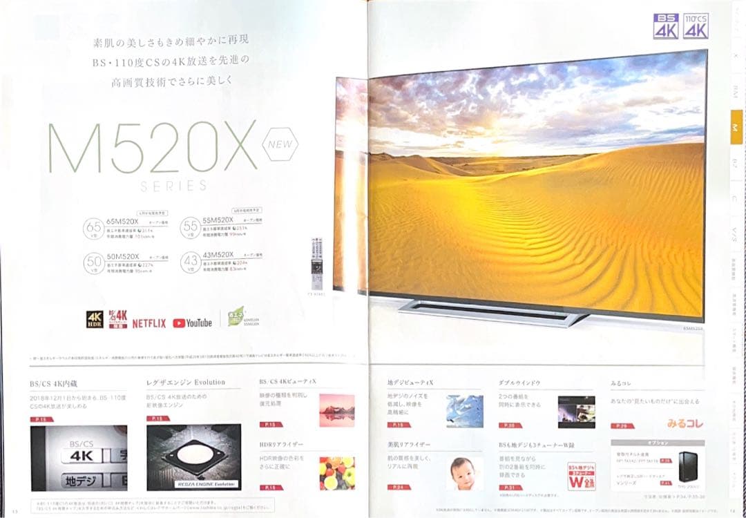 土日限定価格　東芝 TOSHIBA 50M520X 4K 50インチ REGZA