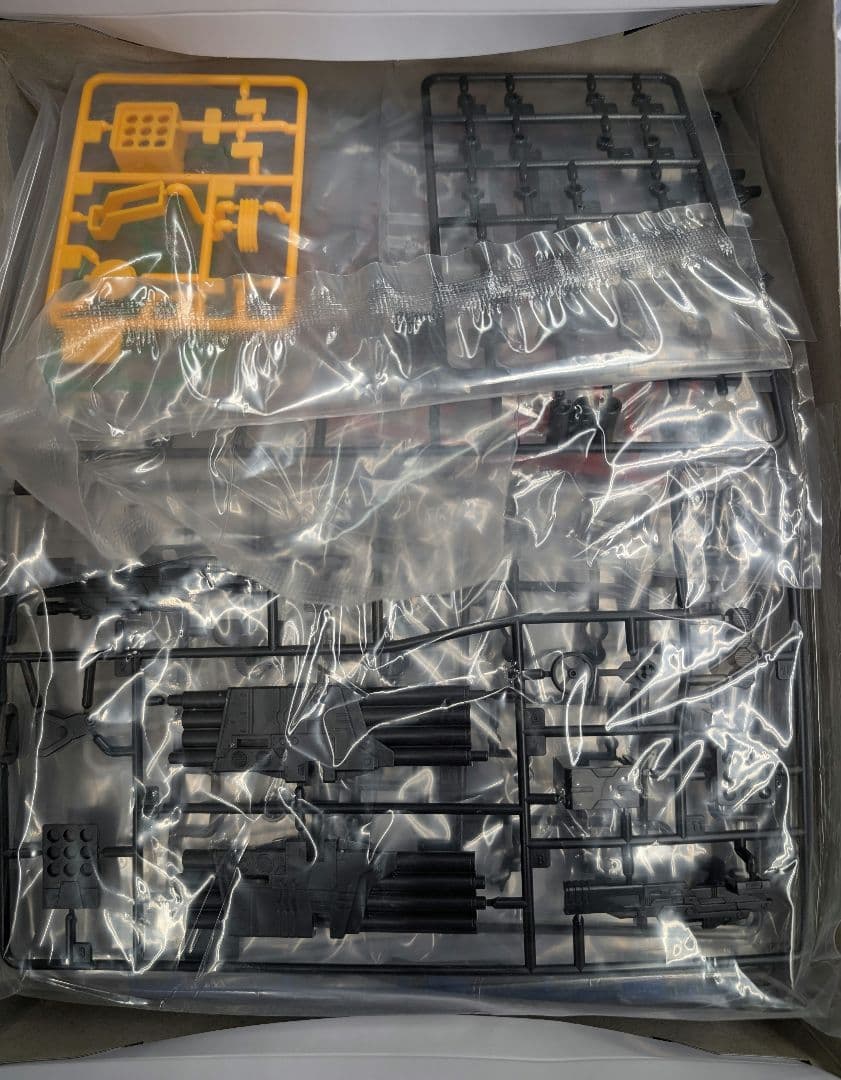 1/100.ザンブルグ。