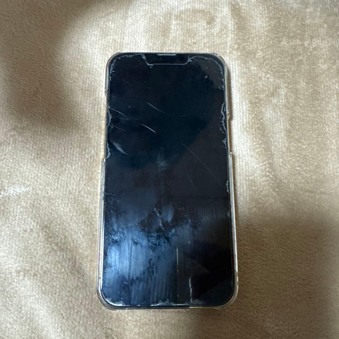 Apple iPhone 13 Pro 本体