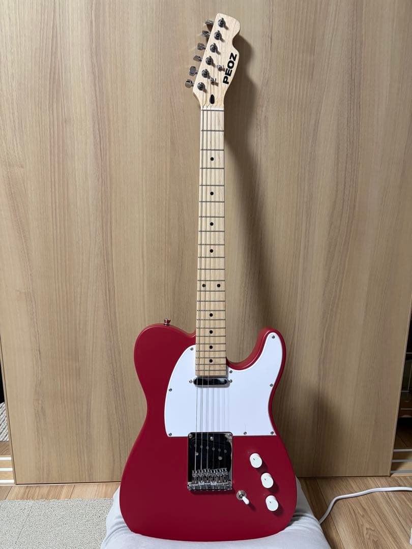 PEOZ スマートギター　純正ケース　オプション付き