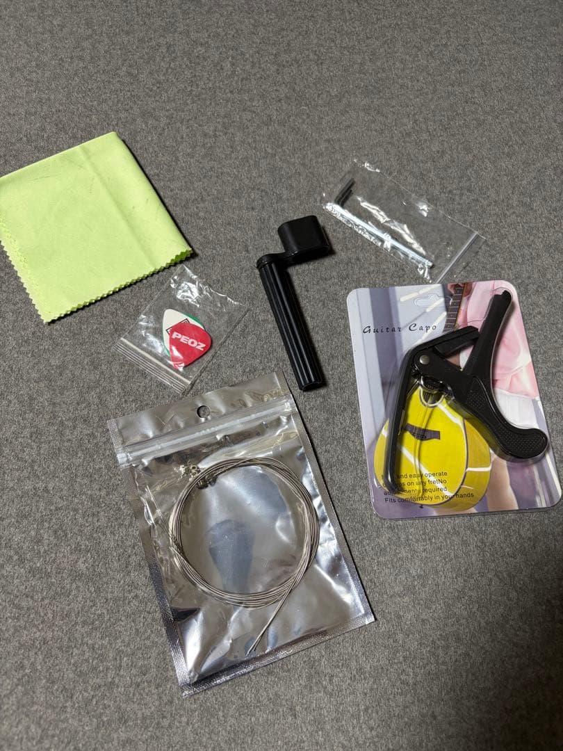 PEOZ スマートギター　純正ケース　オプション付き