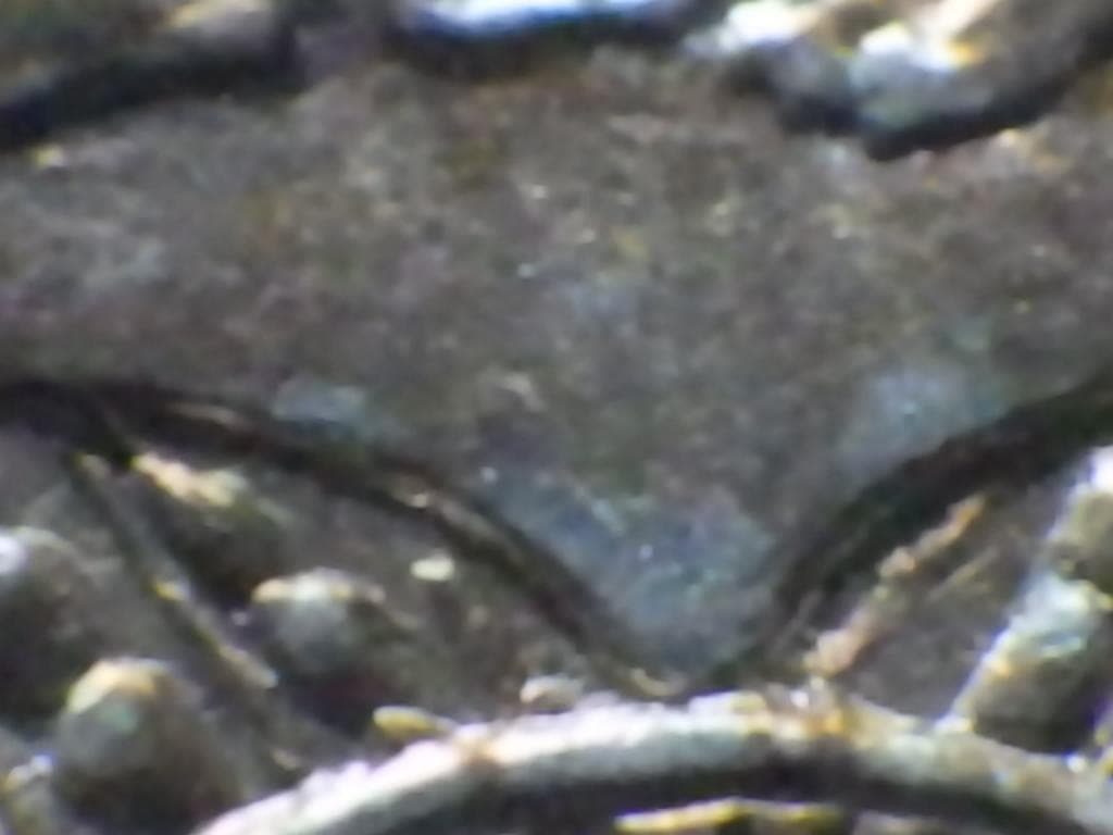 ヴィクトリア ゴチッククラウン 銀貨【銀貨保証】アンティーク M2411869