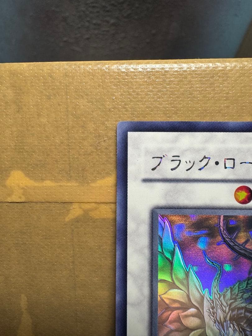 ブラック・ローズ・ドラゴン　ホロ
