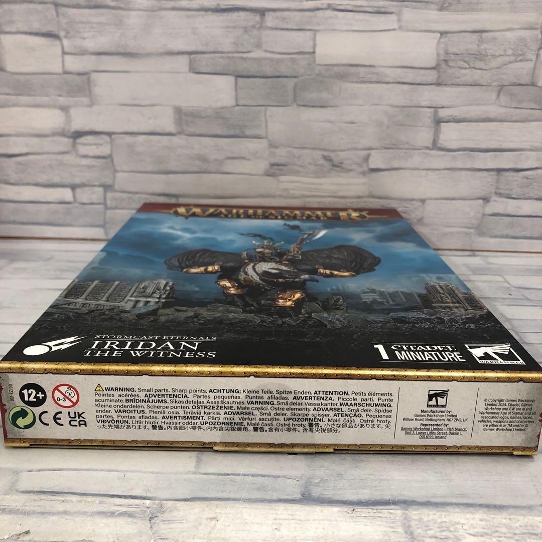 o563 見届ける者　イリダン