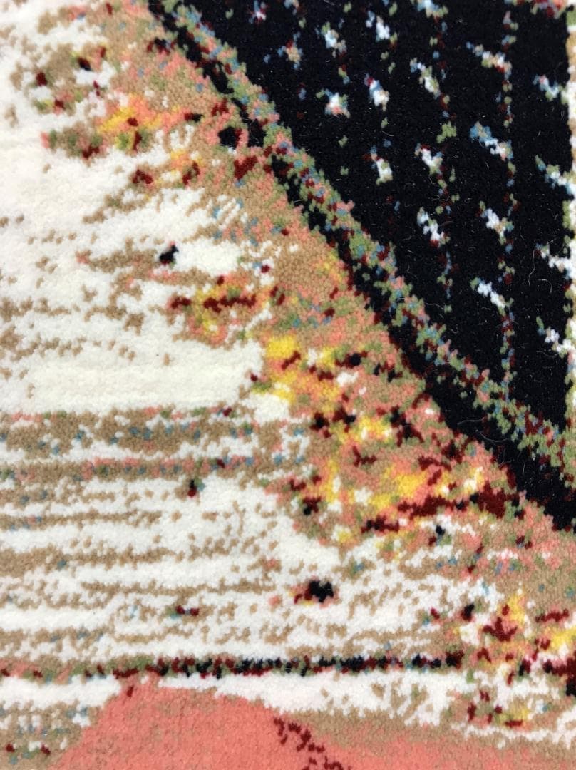 225万ノット！ピクチャーカーペット 額縁付き！50×70cm -190401