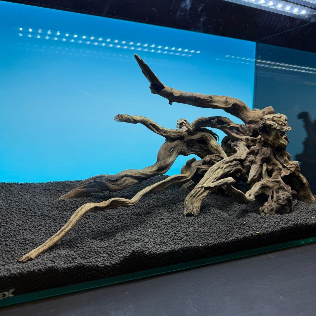 MSRW-6813 スリムウッドレイアウトセット　60cm水槽用流木アクアリウム