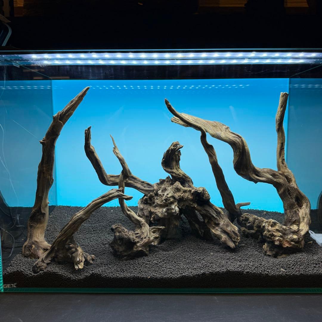 MSRW-6813 スリムウッドレイアウトセット　60cm水槽用流木アクアリウム