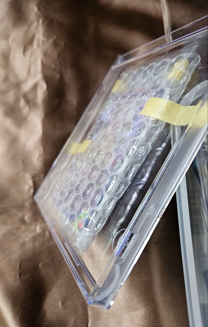 未開封　デュエル・マスターズ　切札勝太&カツキング　神アート　3枚セット