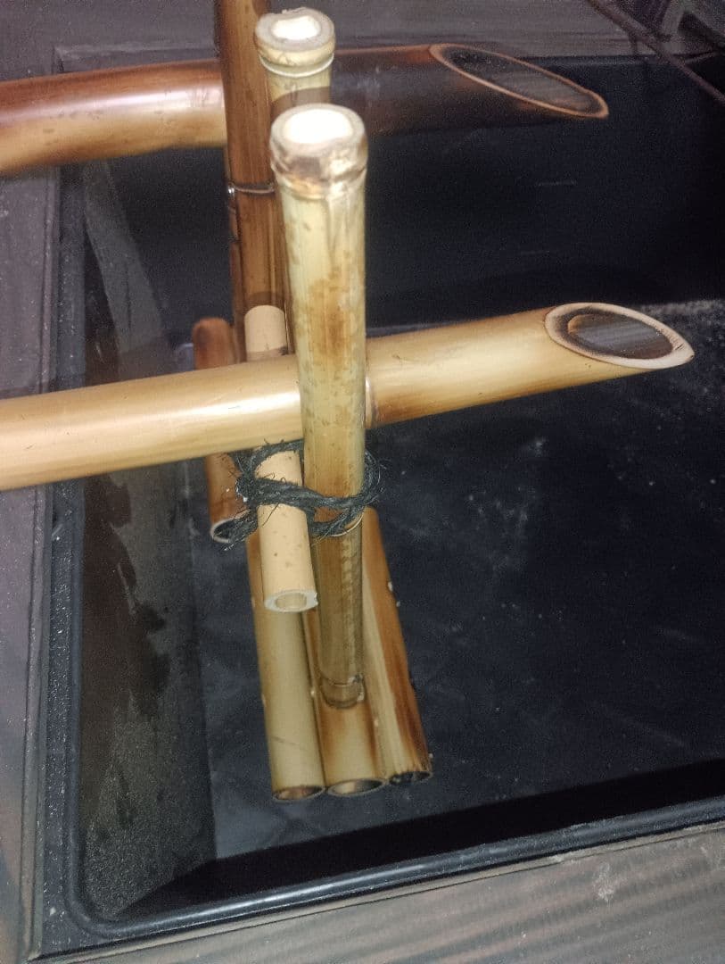 あすか 水換えの要らないトロ舟40