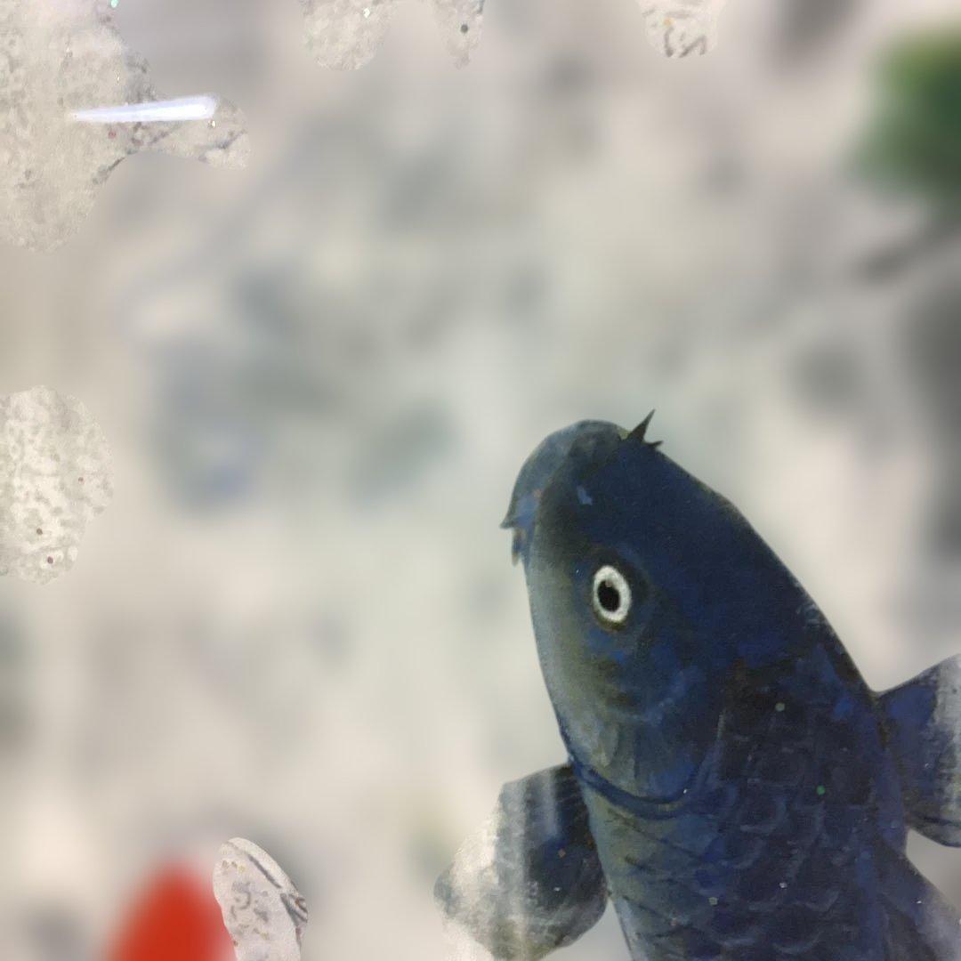 真作　吉岡浩太郎　昇鯉龍神　ジグレー版画