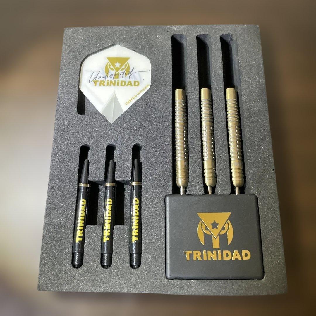 【TRiNiDAD】リカルド STEEL 22g 浅田斉吾選手モデル